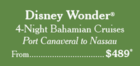 Wonder from $489